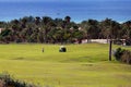 Green golf course of Morro Jable in the south of Fuerteventura with the sea in the background Royalty Free Stock Photo