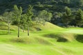 Green golf field on a hill Royalty Free Stock Photo
