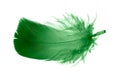 Green goose feather on a white isolated background Royalty Free Stock Photo