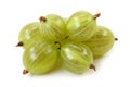 Green gooseberries Royalty Free Stock Photo