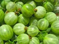 Green gooseberries close up, berry background