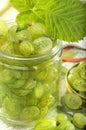 Green gooseberries in jar Royalty Free Stock Photo