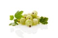 Green gooseberries. Royalty Free Stock Photo