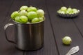 Green gooseberries in metal mug Royalty Free Stock Photo