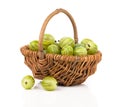 Green gooseberries Royalty Free Stock Photo