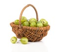 Green gooseberries