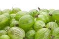 Green gooseberry Royalty Free Stock Photo