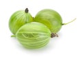 Green gooseberry Royalty Free Stock Photo