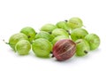 Green gooseberry Royalty Free Stock Photo