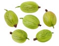 Green gooseberry Royalty Free Stock Photo