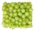 Green Gooseberry Royalty Free Stock Photo