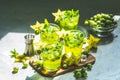 Green gooseberry and carambola cocktail or detox drink