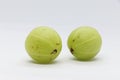 Green gooseberry fruit closeup isolated on white background Royalty Free Stock Photo