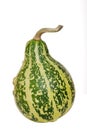Green gourd Royalty Free Stock Photo