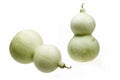 Green gourd Royalty Free Stock Photo
