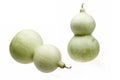 Green gourd