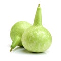 Green gourd Royalty Free Stock Photo