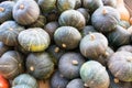 Green Gourds Bunched Up for Background Royalty Free Stock Photo