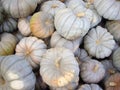 Green Gourds Royalty Free Stock Photo