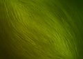 Green gradient abstract grunge textured background wallpaper design Royalty Free Stock Photo