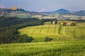 Green grain fields with Vitaleta chapel and Pienza, Tuscany, Italy