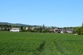 green grainf ield with village ThÃÂ¼r including the old stone church