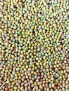 Green gram seeds whole moong bean lentils mung beans pulse food sabatmoong mungpea moongdaal vigna radiata monggo munggo photo Royalty Free Stock Photo