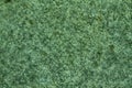 Green Granite rock closeup background, stone texture, cracked surface Royalty Free Stock Photo