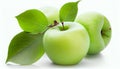 Green granny smith apples hang on branch with green leaves isolated on white background. Royalty Free Stock Photo