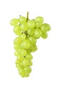 Green grape Royalty Free Stock Photo