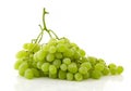 Green grape