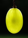 Green grape Royalty Free Stock Photo