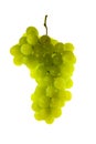 Green grape