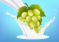 Green grape branch in a milk splash on a blue background. Realistic 3d Vector illustration. Design element. Packaging