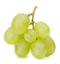 Green grape bunch