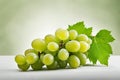 Green grape bunch isolated on white background. Royalty Free Stock Photo