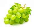 Green grape bunch with leaves isolated on white background Royalty Free Stock Photo