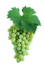 Green grape cluster with leaf Royalty Free Stock Photo
