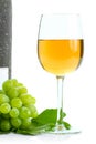 Green grape cluster and wine Royalty Free Stock Photo