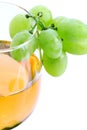 Green grape cluster and wine Royalty Free Stock Photo