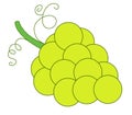 Green grape clean line drawing