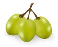 Green grape isolated on the white background.