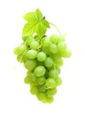 Green grape isolated Royalty Free Stock Photo