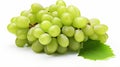 Green grape with leaves isolated on white. With clipping path. Full depth of field. generative ai
