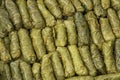 Green Grape Leaves Stuffed Rolls Royalty Free Stock Photo