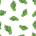 Green grape seamless vector pattern background. Grape wine pattern. Royalty Free Stock Photo