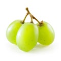 Green grape. Three berries isolated on white background Royalty Free Stock Photo