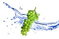 Green grape with water Royalty Free Stock Photo