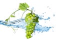 Green grape with water with splash isolated Royalty Free Stock Photo