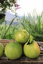 Green grapefruits on open air market